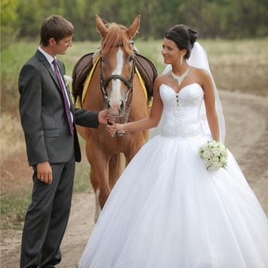 equuservice boda